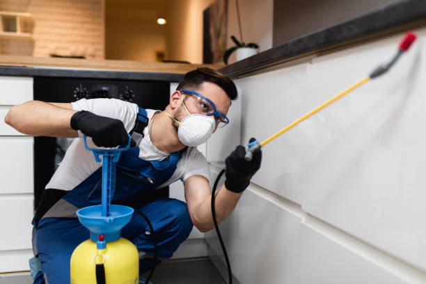 Best Cockroach Control Services  in Glendora, NJ