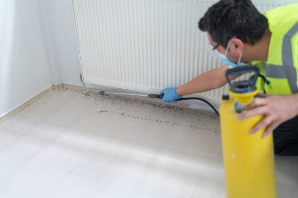 Pest Prevention Services in Glendora, NJ